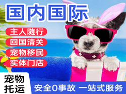 鞍山腾鳌机场邮寄国际宠物托运 【国